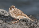 IMG_0207-8x6.jpg