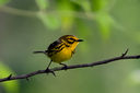 IMG_0152-Edit.jpg