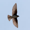 IMG_0324-Edit.jpg