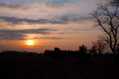IMG_0002-Edit2.jpg