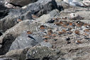 Reeds_Beach-0103.jpg
