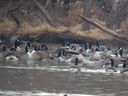 PFGO_Cushetunk_2012-12-12_282_of_529.jpg