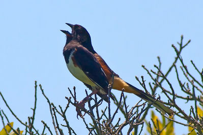 IMG_0316-Edit.jpg