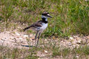 IMG_0223-Edit.jpg