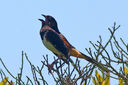 IMG_0316-Edit.jpg