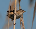 IMG_0151-Edit.jpg